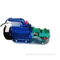 Portable Gear Oil Pump WCB 220V/380V small portable gear pump ex-proof gear oil transfer pump lube oil gear pump Supplier